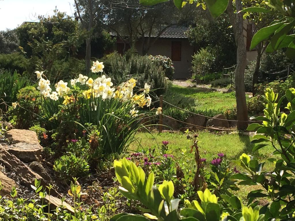 בית הארחה Casas de Belvis 	La Cerca Del Alcornoque מראה חיצוני תמונה