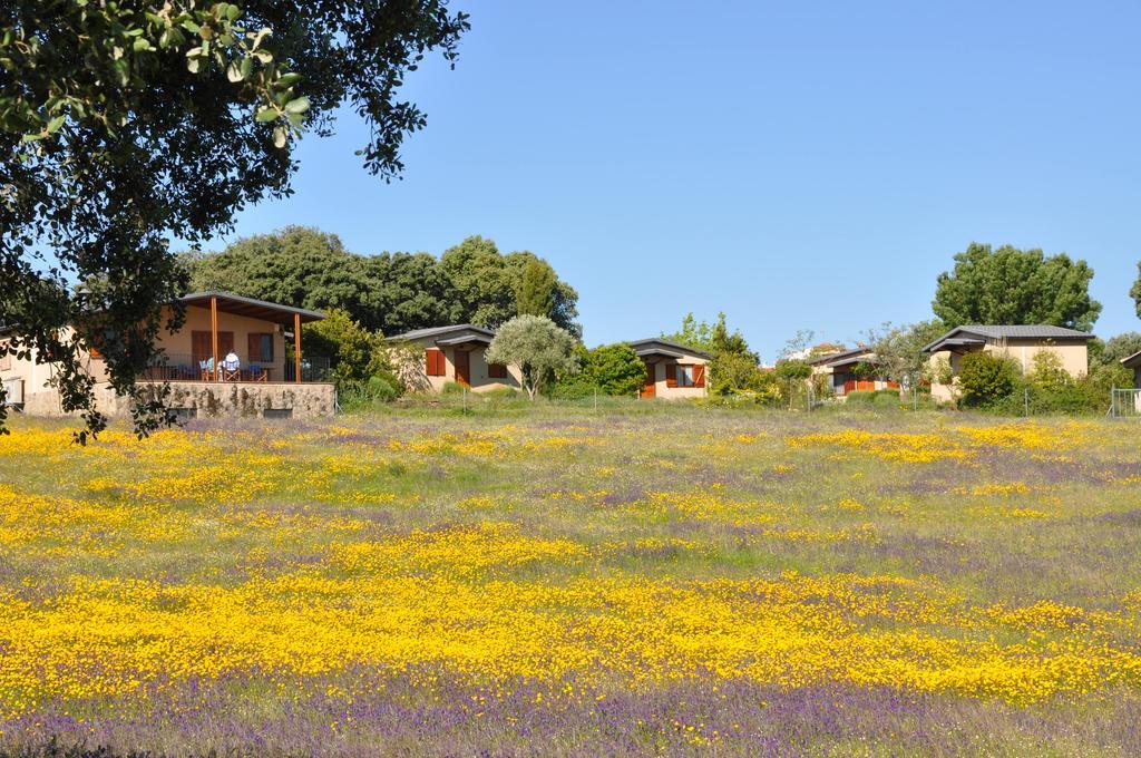 בית הארחה Casas de Belvis 	La Cerca Del Alcornoque מראה חיצוני תמונה