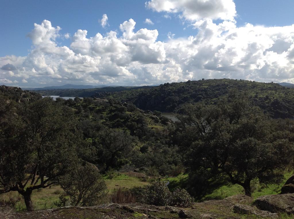 בית הארחה Casas de Belvis 	La Cerca Del Alcornoque מראה חיצוני תמונה